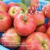 【シナノスイート(通常品)】当園一番人気の甘いりんご/特別栽培/ネオニコ不使用