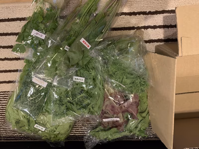 みんなの投稿の画像