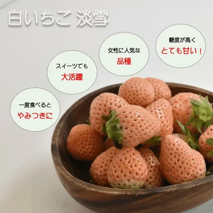 熊本産 雅乃苺 赤いちご 淡雪 紅白セット-250g×2パック｜果物の商品
