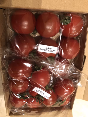 みんなの投稿の画像