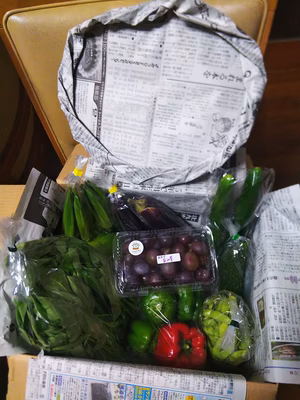 みんなの投稿の画像