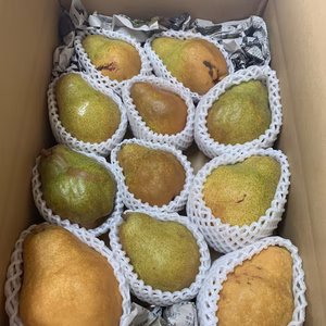 ✨シルバーベル✨【訳あり】