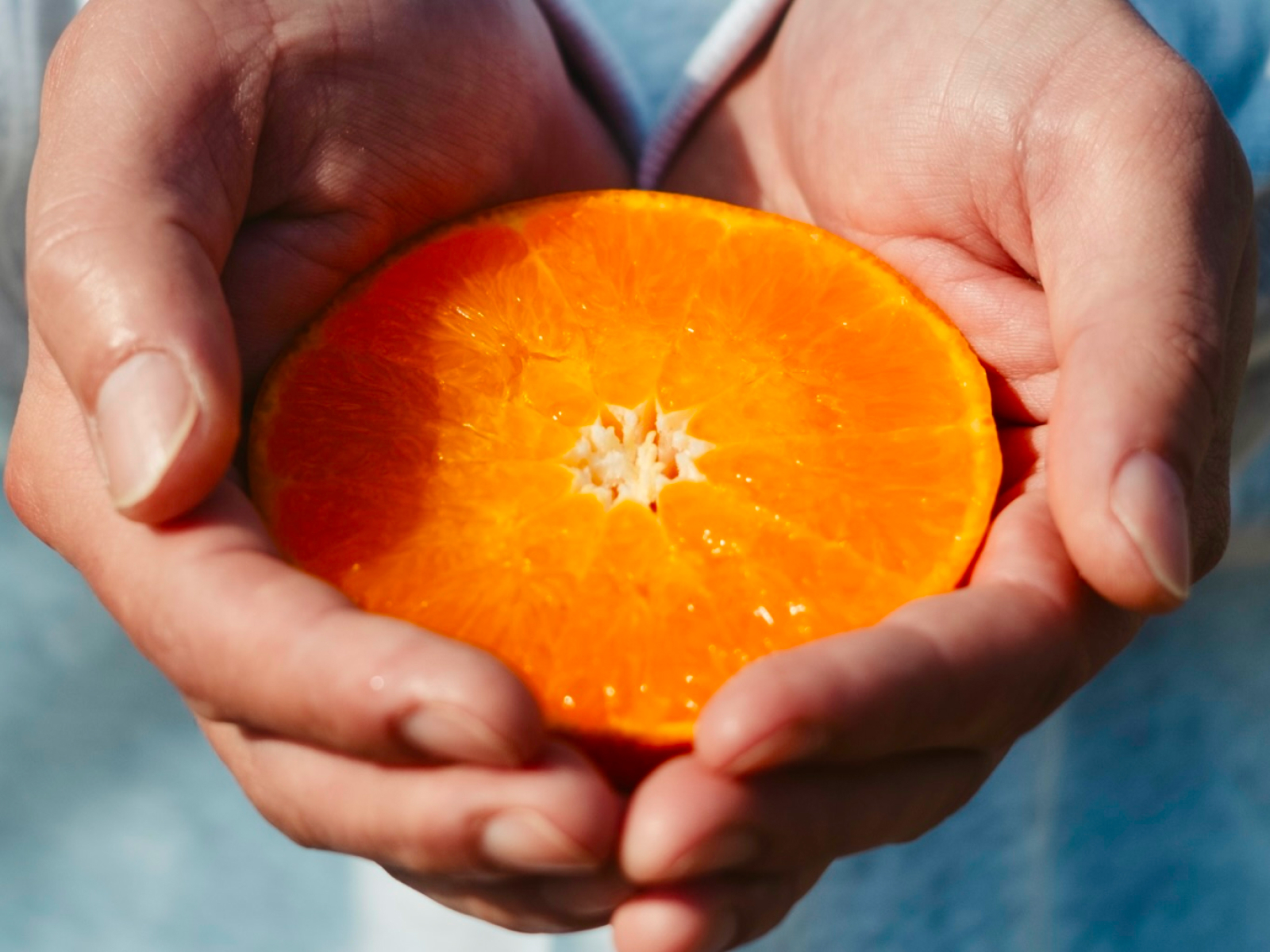 予約限定価格】柑橘の大トロ【せとか】～とろける濃厚果実～ 家庭用