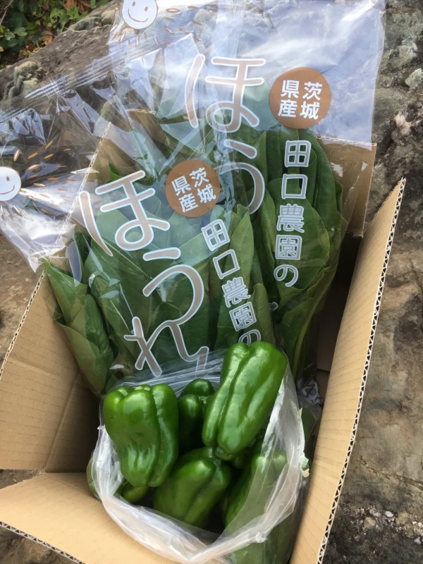 ★緑のお野菜2種セット☆ほうれん草&ピーマン