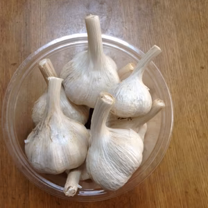 自然栽培　スタミナニンニク　約５００ｇ　７～８個程度