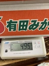 【産地直送】和歌山県産　家庭用ハッサク　大小サイズ混合　約5キロ