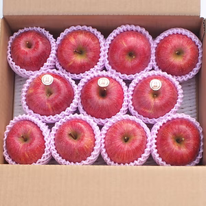 蜜たっぷり★サンふじ★りんご★3キロ