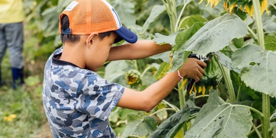 【つながるポケ○（マル）日記】「ぼくたちは命を食べさせてもらってるんだよ」ーポケマルおやこ地方留学を終えて小学１年生が感じたことー