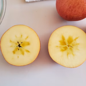 樹上完熟サンふじ　レギュラー品