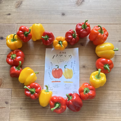 みんなの投稿の画像