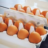 昔ながらの美味しい「平飼い卵」 