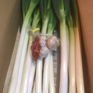 ネギがいくらでも食べれちゃう魔法のネギージョセット！！