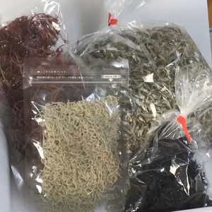 お試しかえりフェア！500ｇがちりめんと食べ比べ！海藻2種も入ってひじきにふのり