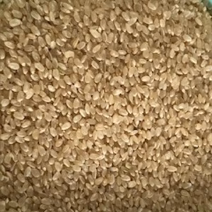 令和7年産ひとめぼれ玄米30ｋｇ