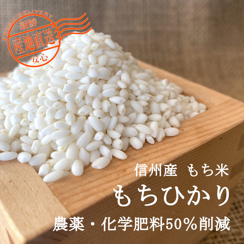 粘りと弾力が自慢！信州産 もち米【もちひかり 白米】令和7年産｜白米