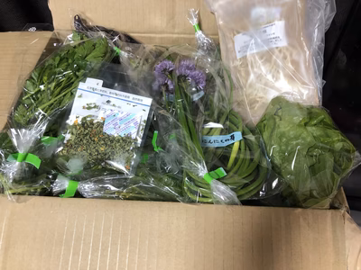 みんなの投稿の画像