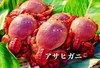 【生冷凍】希少な国産アサヒガニ 　１kg