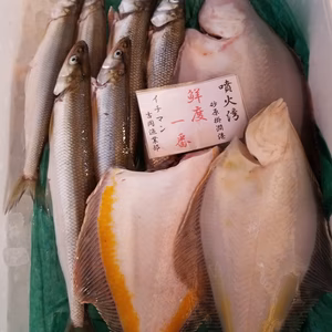 本日限定❗イチマン❗キュウリ魚&カレイ　(下処理済み)