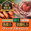 【有機JAS認定にんじん】免疫力×抗酸化力UP健活ヴィーナスキャロットお得な6k