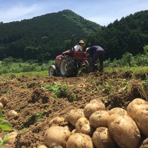 【F様専用】「訳あり」有機ジャガイモ（ニシユタカ）5㎏と高原野菜10品のセット