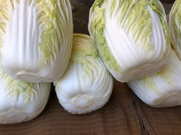 寒さにあたったミニ白菜２個入り