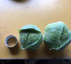 キャベツ