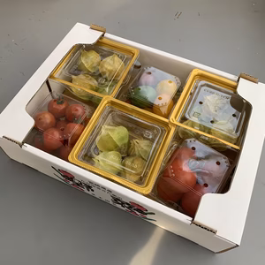 ❣️希少❣️フルーツトマトとフルーツほおずきセット