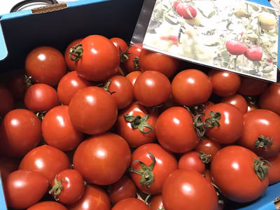 みんなの投稿の画像