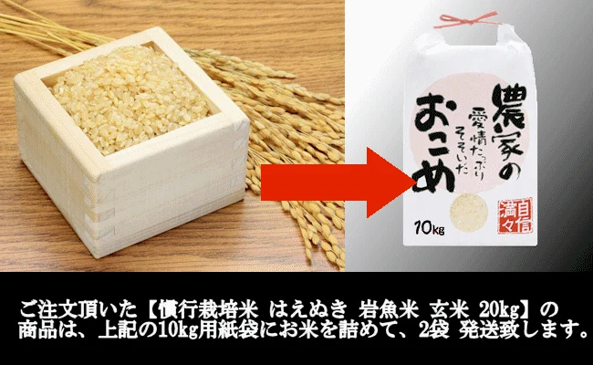 【山形県産】慣行栽培米 はえぬき 岩魚米（玄米20kg 令和４年産）