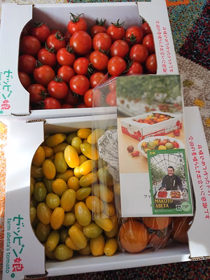 みんなの投稿の画像