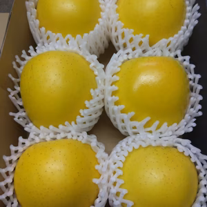 クール便❄️【ギフト】まるで採れたて❗️シャキシャキ食感シナノゴールド 