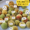 【訳あり】梅シロップ用・南高梅（長野県産／栽培期間中農薬不使用）