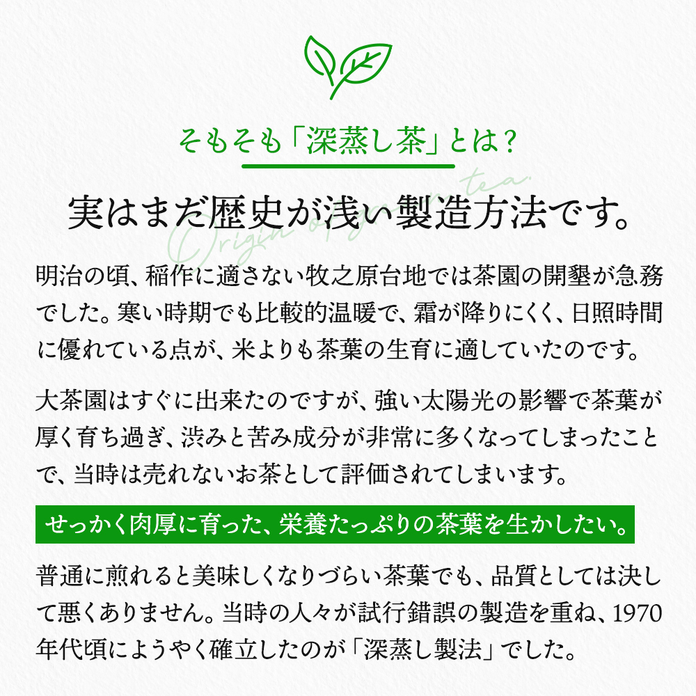 冬限定価格】＼！半額！／ ゴクゴクすっきり深蒸し 茶葉 100g｜お茶の