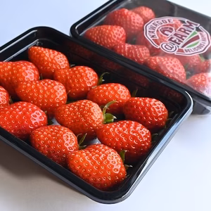 ＠FARMの川越産特製いちご(とちおとめ)250g×2パック！！