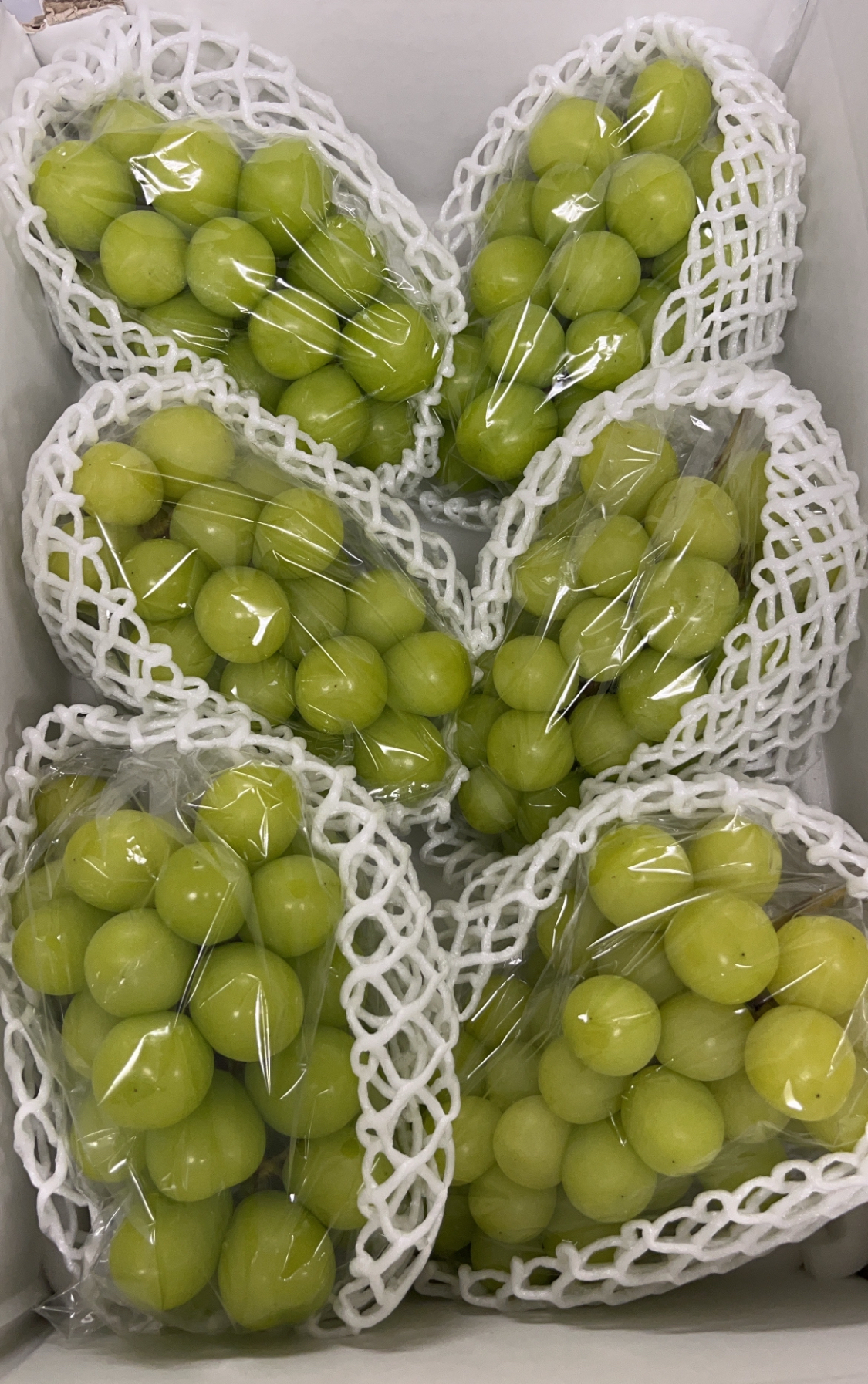 北海道クール便‼️シャインマスカット 葡萄 ぶどう ブドウ箱込み5kg