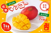 ぷすぷすマンゴー1キロ（2～3玉）【7月配送予定】