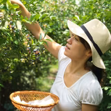 山内郁美 | 四季彩農園