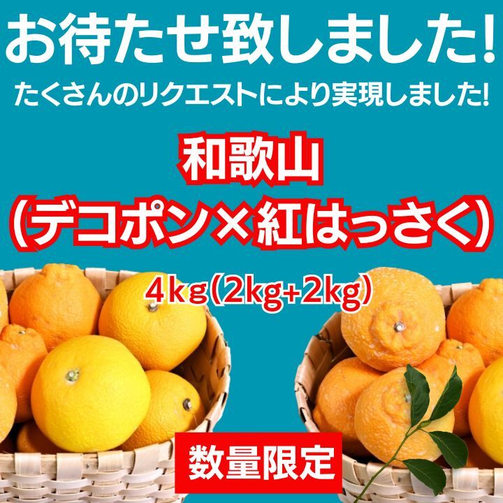 高糖度紅はっさく+和歌山の不知火セット4kg 減農薬！濃い！甘い！紅