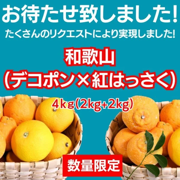 高糖度紅はっさく+和歌山の不知火セット4kg 減農薬！濃い！甘い！紅