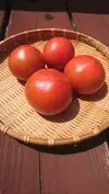 ウエタトマト de ドライトマト　3袋セット