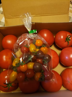 みんなの投稿の画像