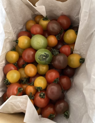 みんなの投稿の画像