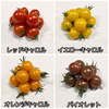 サザキ農園のミックスミニトマト！