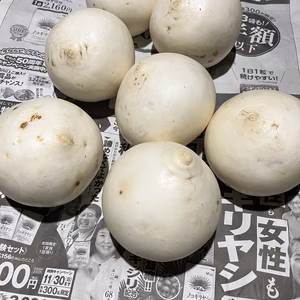 『訳あり』 熊本県産　サラダかぶ