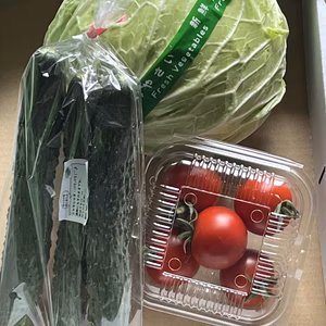 初夏の小さなおまかせ野菜セット