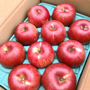 シナノスイート　家庭用