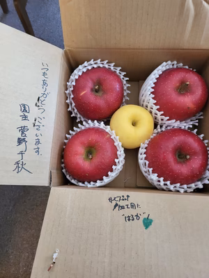 みんなの投稿の画像