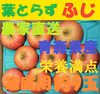青森県産　樹上完熟　葉とらずふじ　3kg　約9玉　農家直送