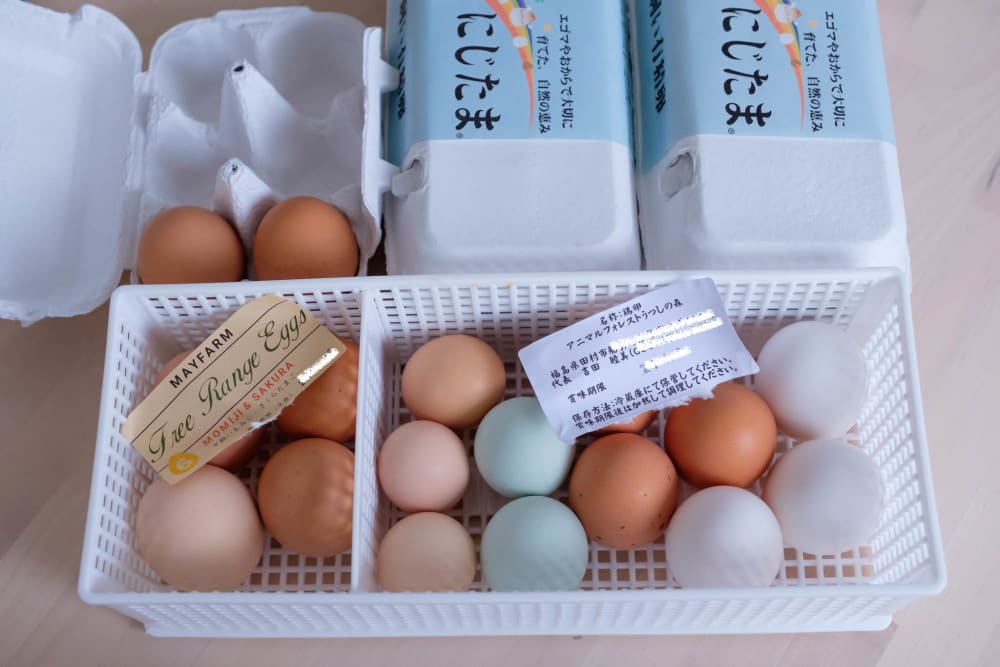 市場 青柳養鶏場 産直 おうはん卵 純国産鶏種 卵 こだわり 取り寄せ 農家 濃厚 養鶏場 40個 あおやぎたまご ギフト