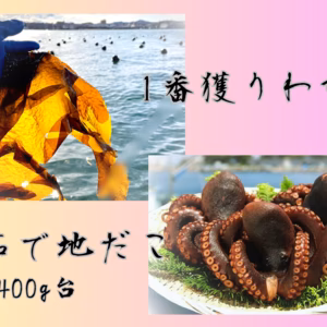 ◎弥春丸　二枚看板　『1番獲り生わかめ』と『浜茹で地だこ(400g台)』セット